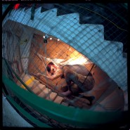 The Rumor